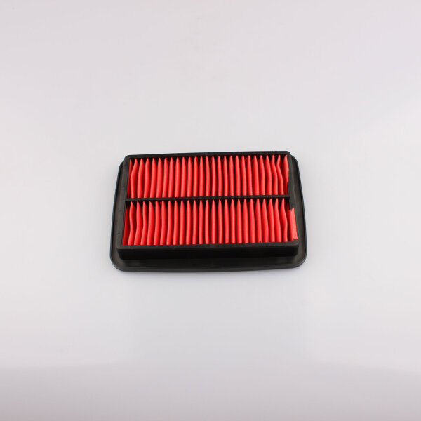 Luftfilter f&uuml;r Suzuki GSF 600 650 1200 Bandit 00-06 13780-31F00