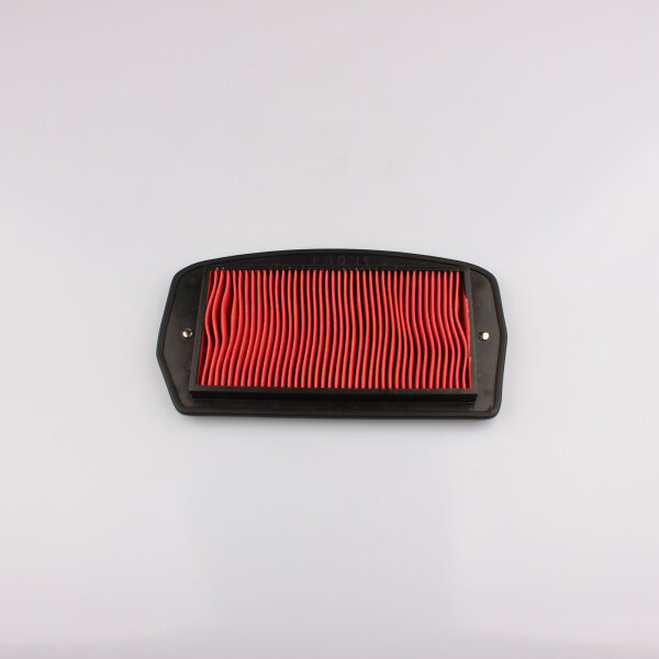 Luftfilter f&uuml;r Yamaha FZ6 S2 600 04-10 5VX-14451-00