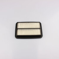 Filtro dellaria per Suzuki GSF 600 650 1200 Bandit 00-06...