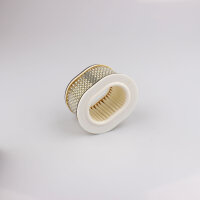Luftfilter f&uuml;r Yamaha FZR 600 94-95 4JH-14451-00 JP