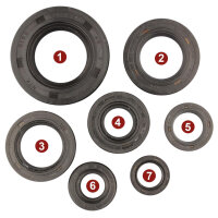 Juego de sellos de aceite de motor para Honda XL 600 LM...