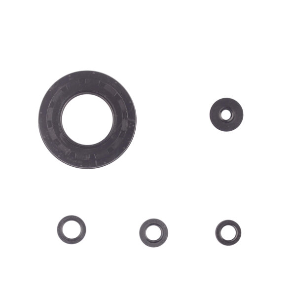 Engine oil seal set for Honda XL-V 1000 Varadero 98-00
