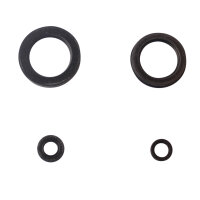 Engine oil seal set for Yamaha XJ 900 S 98-01