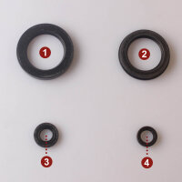 Set paraolio motore per Yamaha XJ 900 S 98-01