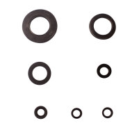 Jeu de joints dhuile moteur pour Yamaha XJ 600 97-99