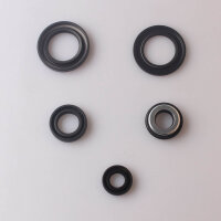Set paraolio motore per Yamaha XT 600 90-95