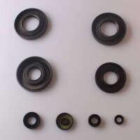 Engine oil seal set for Suzuki GT 250 76-78