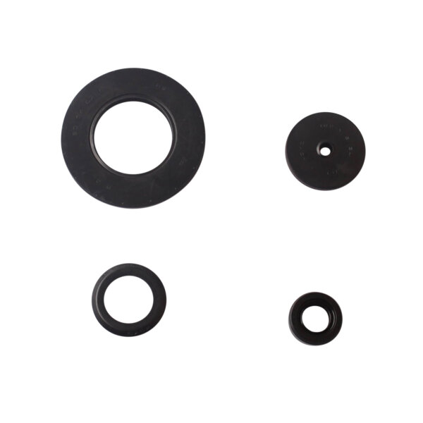Engine oil seal set for Suzuki GSF 600 1200 GSX 600 750 1200