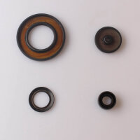 Engine oil seal set for Suzuki GSF 600 1200 GSX 600 750 1200