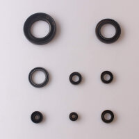 Set paraolio motore per Kawasaki Z 900 Z1 900 73-76 Z 1000 77-80