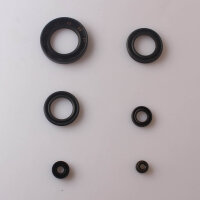 Set paraolio motore per Kawasaki Z 500 B 79-80 Z 550 B 81-82