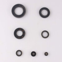 Set paraolio motore per Kawasaki KZ 650 C 1977 Z 650 B 77-80