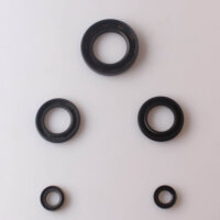 Set paraolio motore per Kawasaki GPZ Z ZR ZR-7 ZX 750