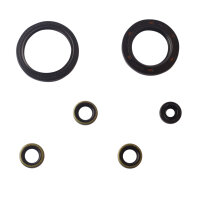 Jeu de joints dhuile moteur pour Kawasaki Z 1000 81-83...
