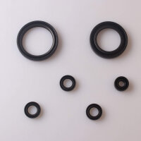 Set paraolio motore per Kawasaki Z 1000 81-83 GPZ 1100 B 81-82