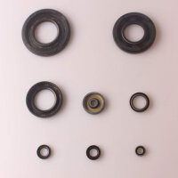 Engine oil seal set for Kawasaki H2 750 Mach 4 72-75