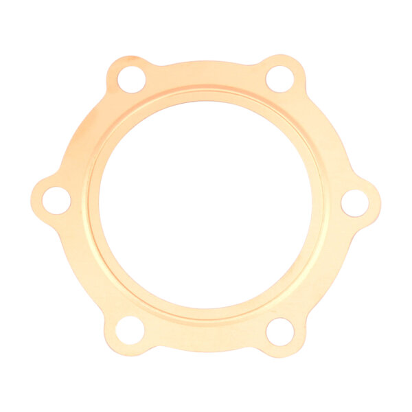 Junta de culata para Yamaha DT 175 MX # 78-80 # 1W2-11181-00