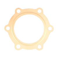 Junta de culata para Yamaha DT 175 MX # 78-80 # 1W2-11181-00
